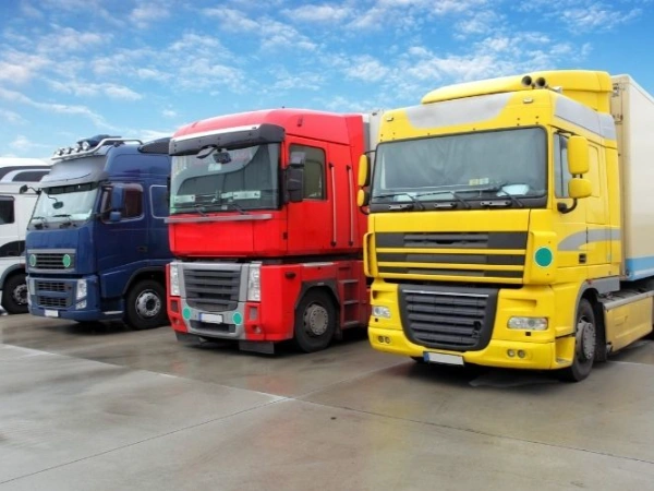 İzmir Pamukova Nakliye